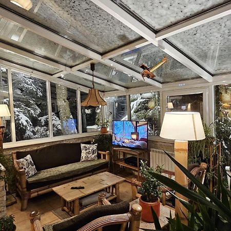 Boutique Hotel Forest Retreat (Adults Only) Buşteni Exterior foto