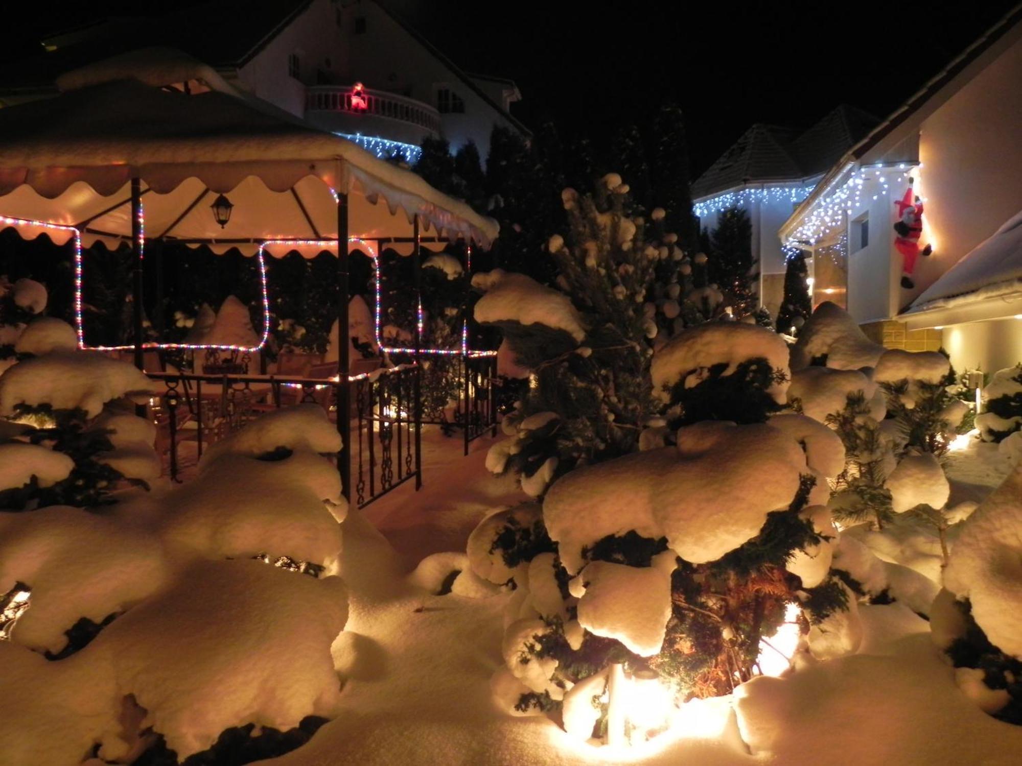 Boutique Hotel Forest Retreat (Adults Only) Buşteni Exterior foto