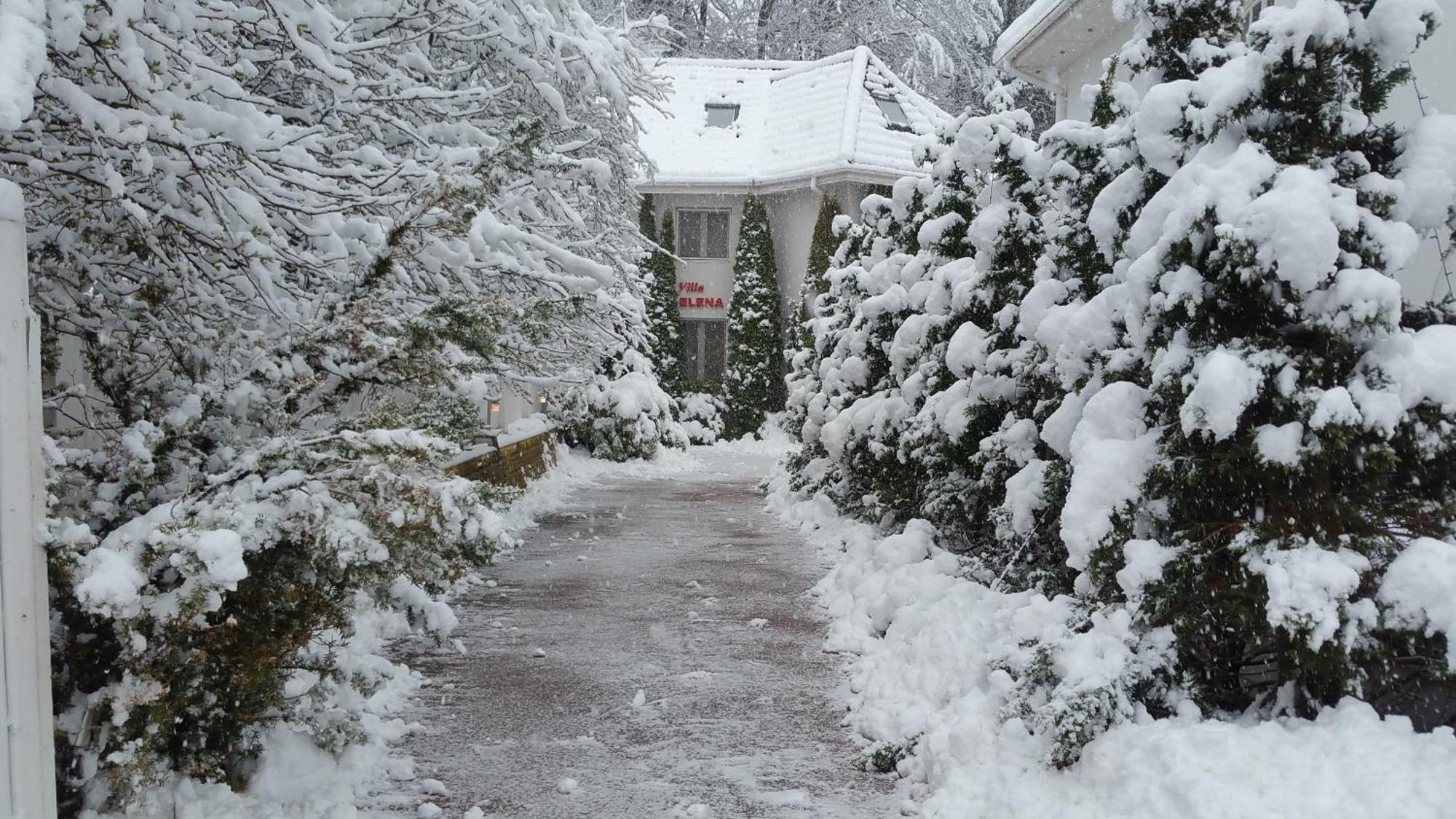 Boutique Hotel Forest Retreat (Adults Only) Buşteni Exterior foto