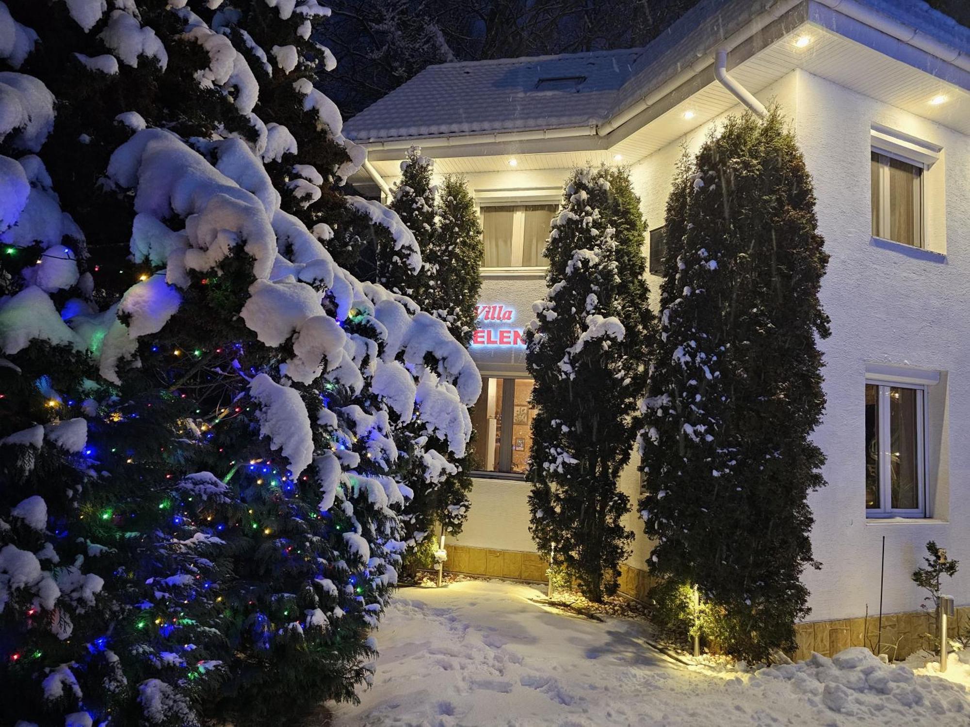 Boutique Hotel Forest Retreat (Adults Only) Buşteni Exterior foto