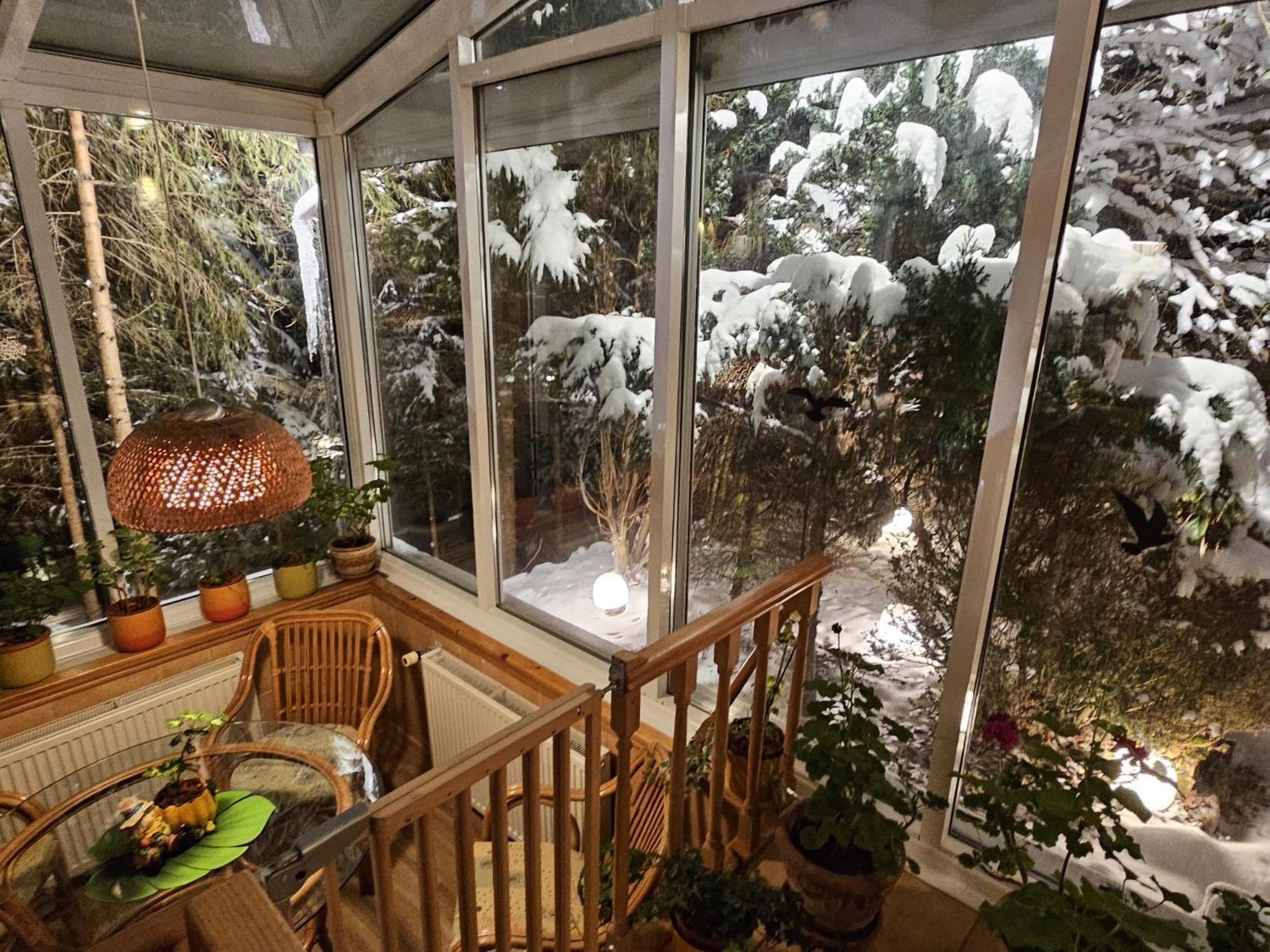 Boutique Hotel Forest Retreat (Adults Only) Buşteni Exterior foto